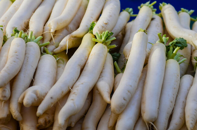 daikon